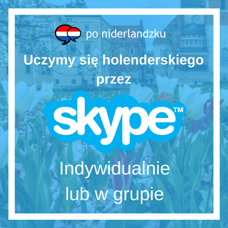 Grafika przedstawiająca lekcje języka holenderskiego przez Skypa.